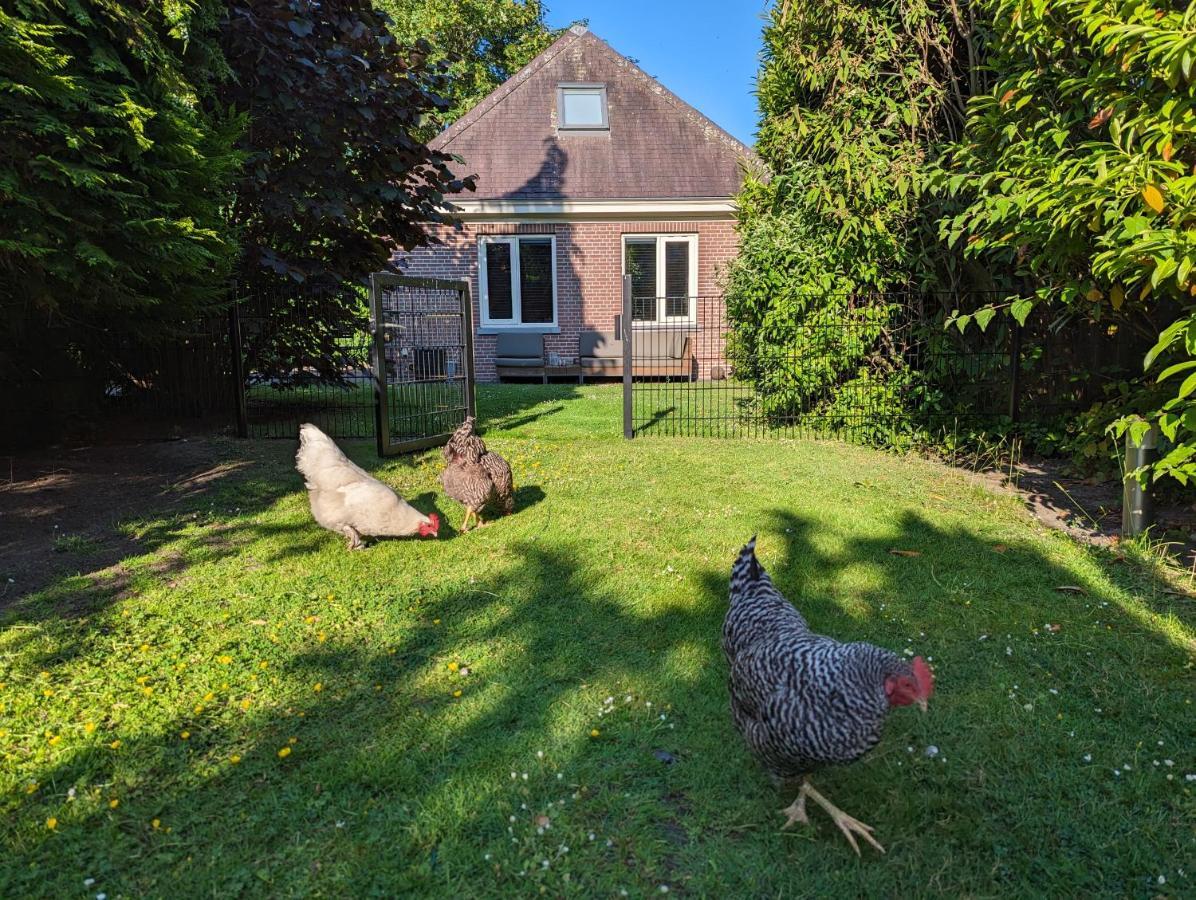 Stylish Guesthouse With 2 Free E-Bikes - Near Breda! Etten-Leur Exterior foto